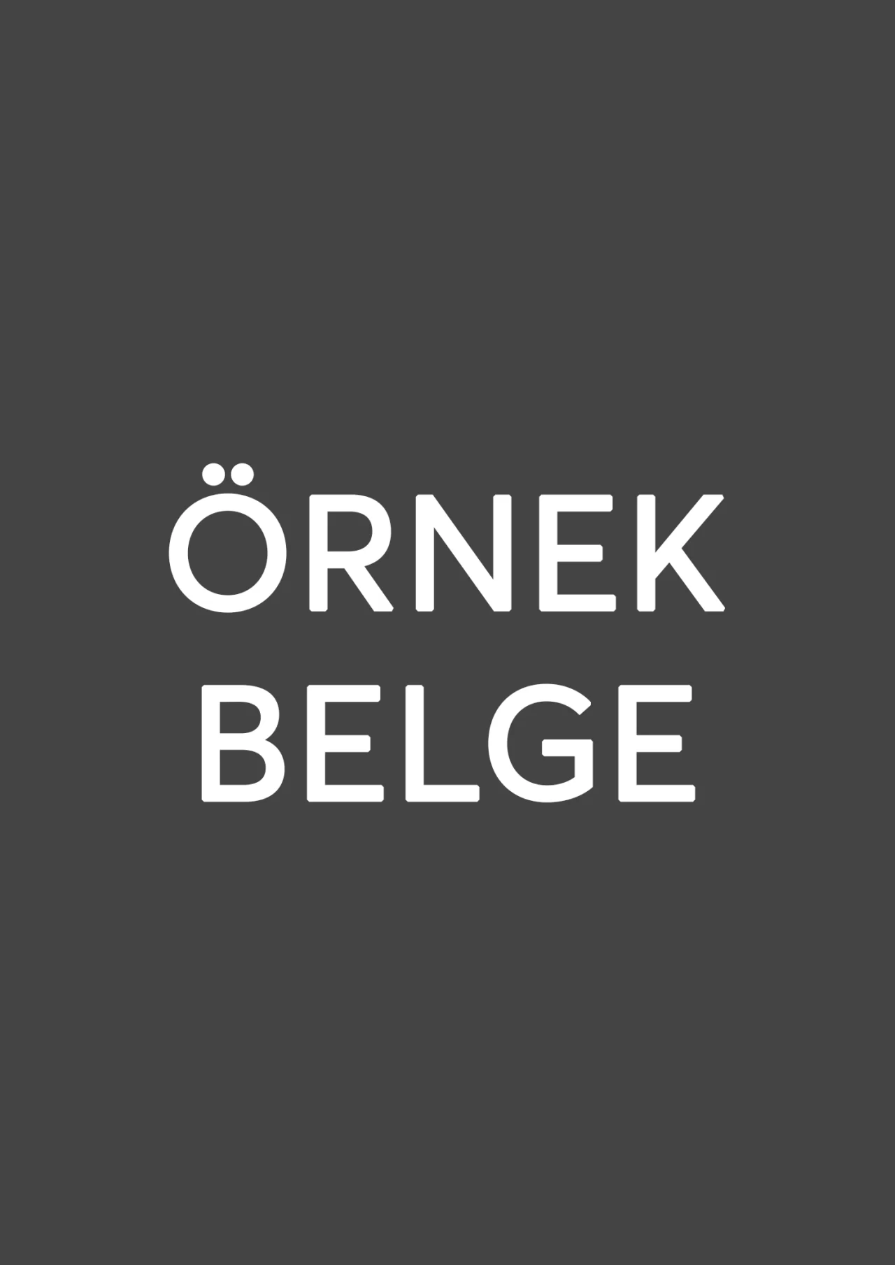 örnek belge